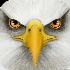 Взломанная Ultimate Bird Simulator на Андроид - Мод бесплатные покупки