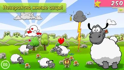  Clouds & Sheep Premium   -   