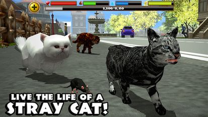  Stray Cat Simulator   -   