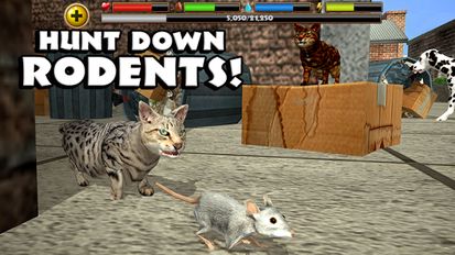  Stray Cat Simulator   -   