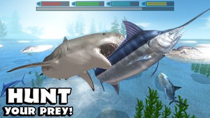 Взломанная Ultimate Shark Simulator на Андроид - Мод бесплатные покупки