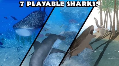 Взломанная Ultimate Shark Simulator на Андроид - Мод бесплатные покупки