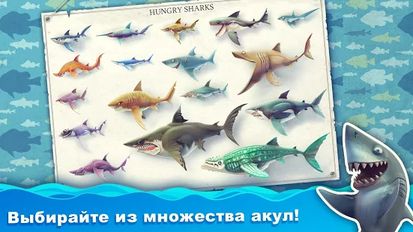 Взломанная Hungry Shark World на Андроид - Мод бесконечные деньги