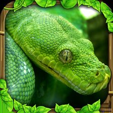  Snake Simulator   -   