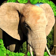  Elephant Simulator   -   