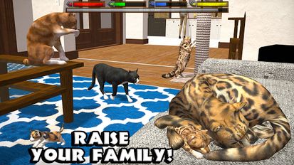 Ultimate Cat Simulator   -   