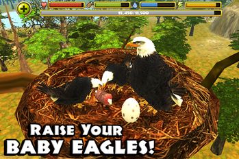  Eagle Simulator   -   