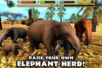  Elephant Simulator   -   